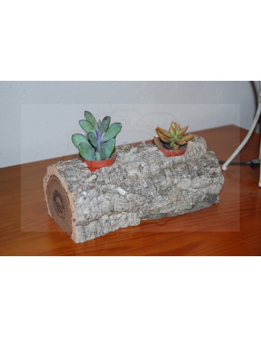 Cork Table Pot-M